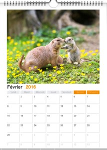 fev2016