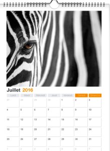 juillet2016