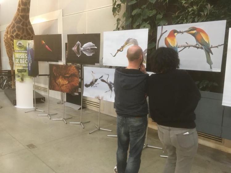 28782759_10214110481288976_3719369209352814592_n